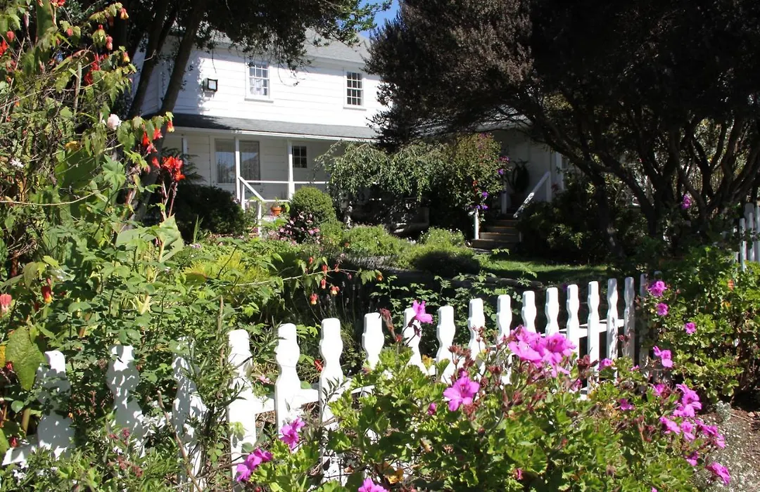 Seagull Inn Bed & Breakfast-1