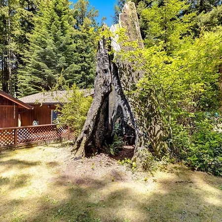 Family Getaway - Hot Tub Fire Pit & Dog Friendly-2